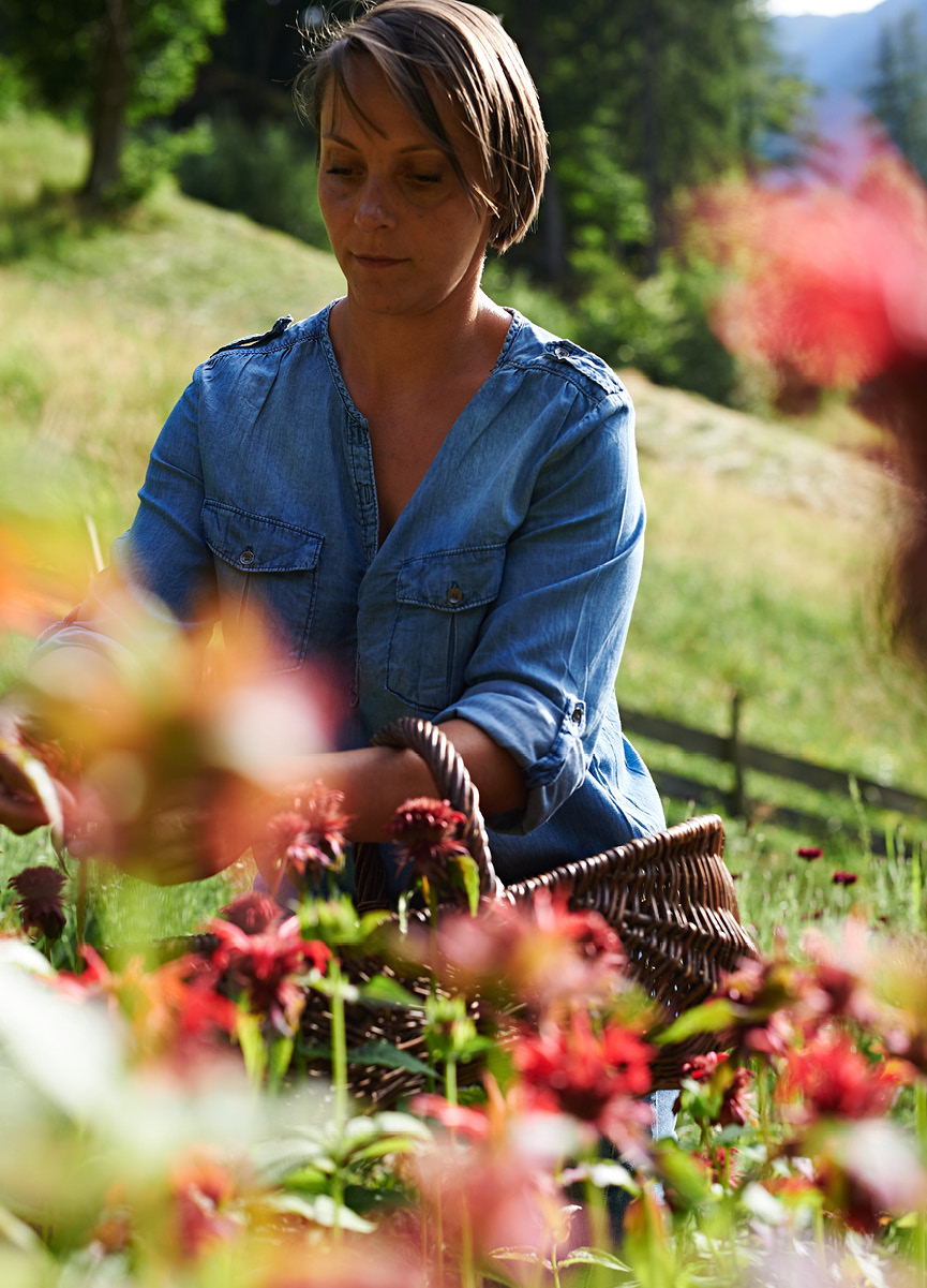 La piccola peste nel paese