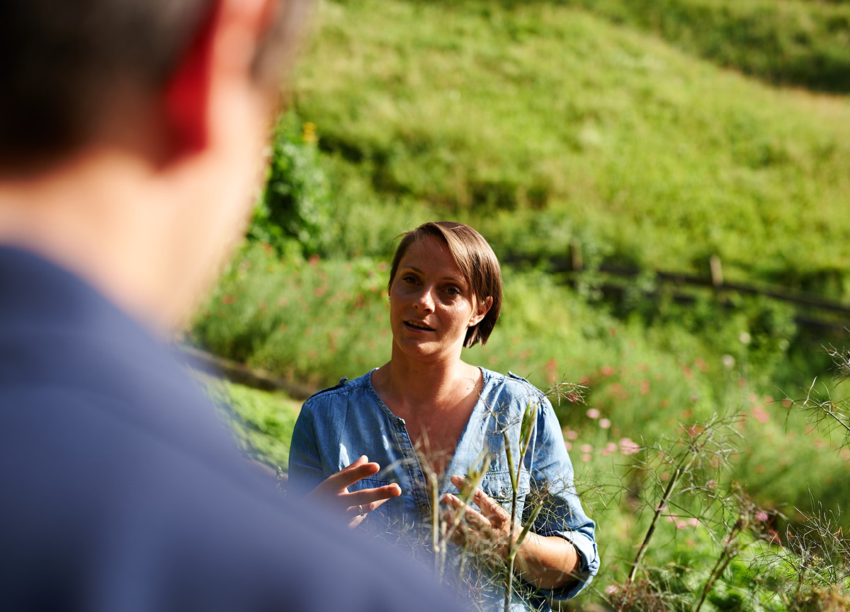 Favole a base di erbe