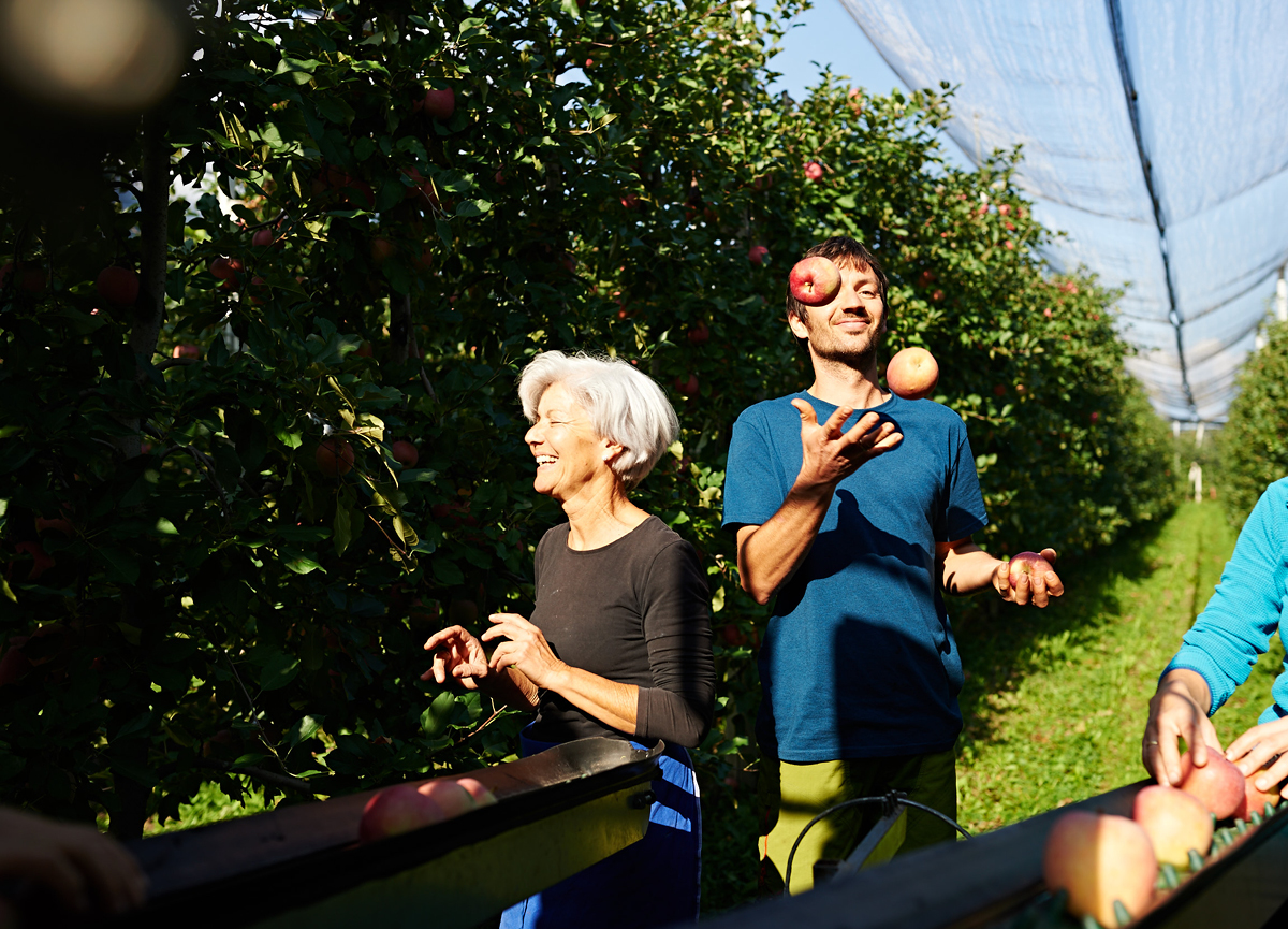 Partner locali forti Partner locali forti