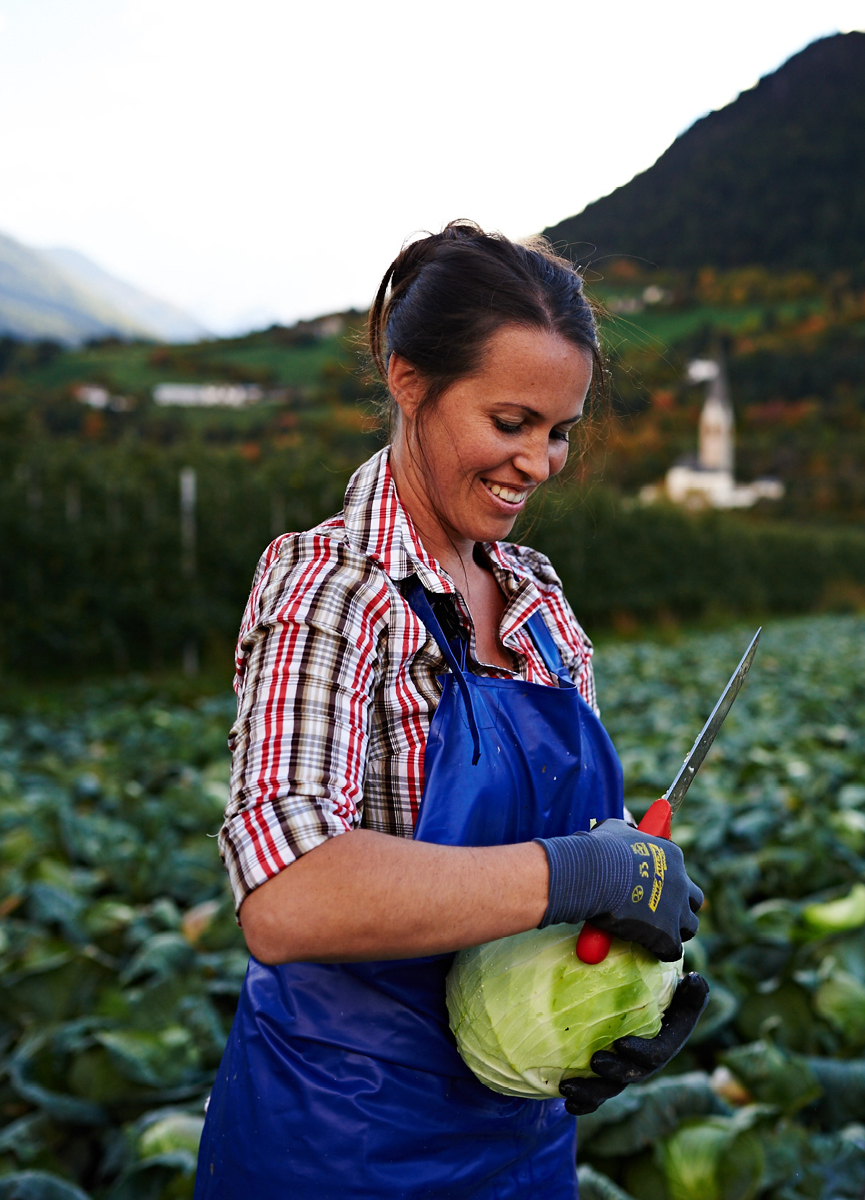 Richiesta nei mercati dei contadini
