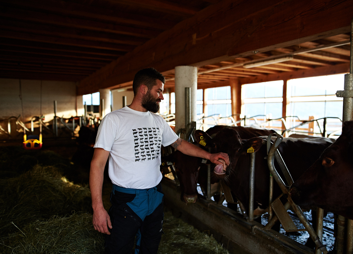 Il ritorno alle origini Il ritorno alle origini